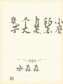 几个月的小猫肚子大是怎么回事