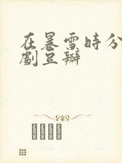 在暴雪时分电视剧豆瓣