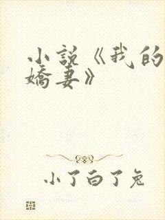 小说《我的极品娇妻》封面