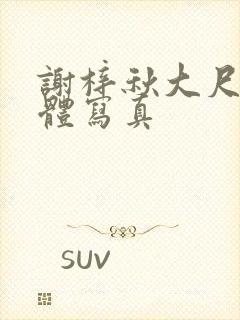 谢梓秋大尺度裸体写真