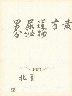 男尿道有黄绿色分泌物