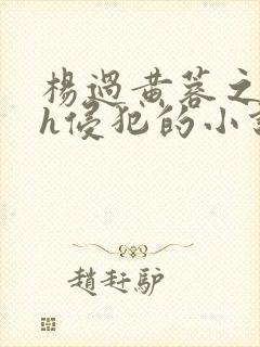 杨过黄蓉之乱淫h侵犯的小说情节封面