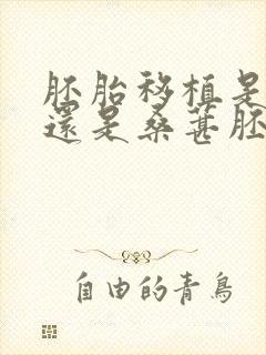 胚胎移植是囊胚还是桑葚胚封面