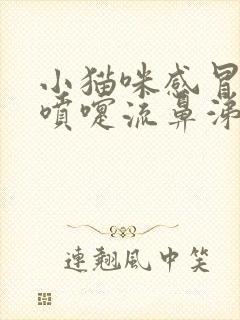 小猫咪感冒了打喷嚏流鼻涕怎么办