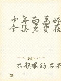 少年白马醉春风全集免费在线观看