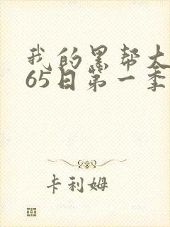 我的黑帮大佬365日第一季在线看