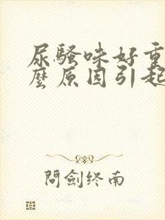 尿骚味好重是什么原因引起的