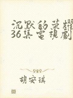 沉默的荣耀1—36集电视剧在线观看