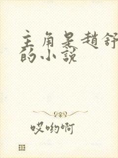 主角是赵舒袁颖的小说