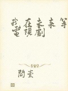 我在未来等你 电视剧