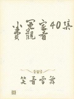 小冤家40集免费观看