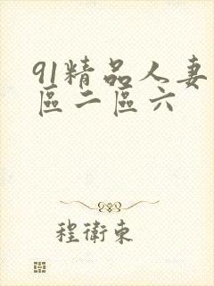 91精品人妻一区二区六