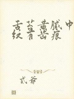 舌苔黄腻中间裂纹有齿痕