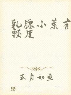 乳腺小叶有增生轻度