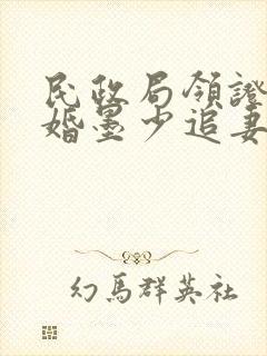 民政局领证,闪婚墨少追妻忙下载txt封面