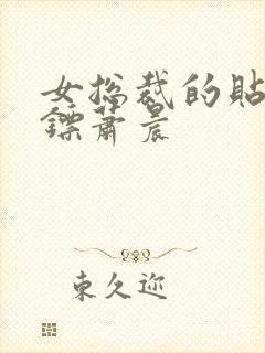 女总裁的贴身保镖萧晨