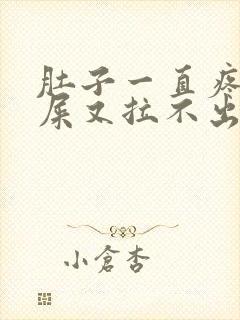 肚子一直疼想拉屎又拉不出来