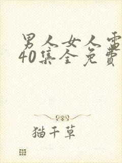 男人女人电视剧40集全免费播放