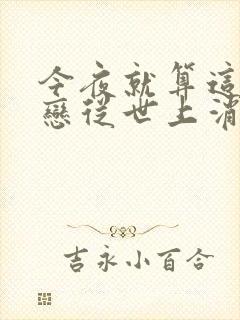 今夜就算这份爱恋从世上消失简介