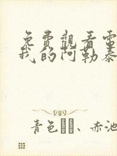 免费观看电视剧我的阿勒泰