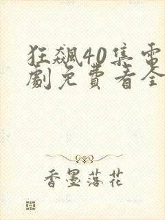 狂飙40集电视剧免费看全集