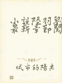 小说陆羽刘云峰最新章节阅读