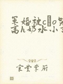 军婚被cαo哭高h奶水小说封面