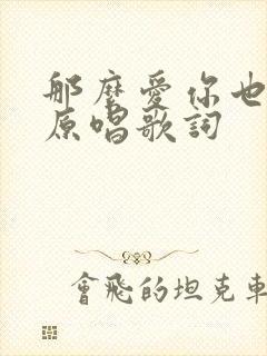 那么爱你也没用原唱歌词