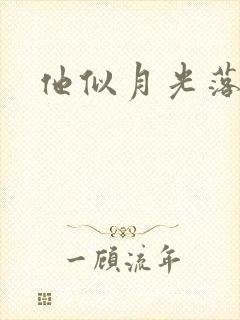 他似月光落我心