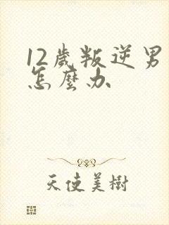 12岁叛逆男孩怎么办