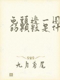 龟头边一圈白色的颗粒是什么