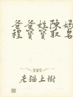 爸爸姓陈妈妈姓程宝宝取名