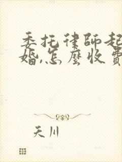 委托律师起诉离婚,怎么收费的