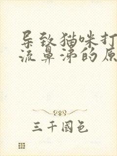 导致猫咪打喷嚏流鼻涕的原因