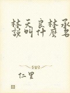 林天良林承泽小说叫什么名字