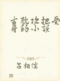 古耽攻把受当替身的小说封面