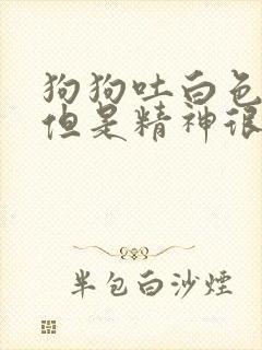 狗狗吐白色粘液但是精神很好