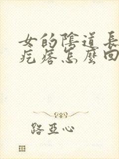 女的阴道长白色疙瘩怎么回事