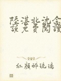 陆湛北沈念欢小说免费阅读讲了什么