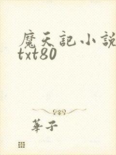 魔天记小说下载txt80