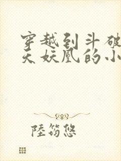 穿越到斗破成为天妖凰的小说