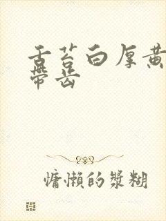 舌苔白厚黄舌尖带齿