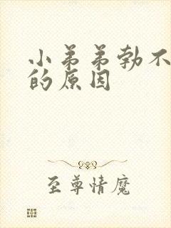 小弟弟勃不起来的原因