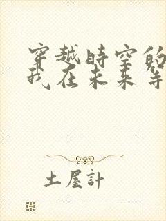 穿越时空的少女我在未来等你