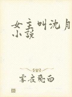 女主叫沈月娇的小说