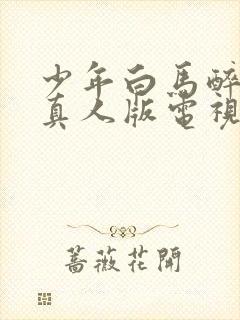 少年白马醉春风真人版电视剧17集