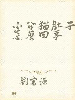 小公猫肚子大是怎么回事封面