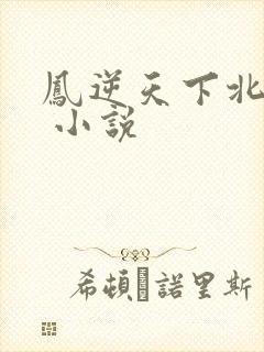 凤逆天下北月篇 小说