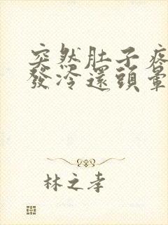 突然肚子疼浑身发冷还头晕这是什么症状