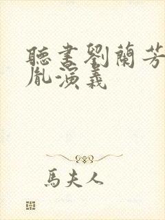 听书刘兰芳赵匡胤演义